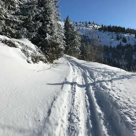 Casa de Campo Dom Na Bravacove *