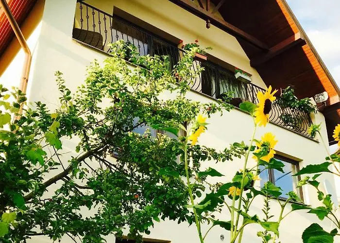 Dom Na Bravacove Benus