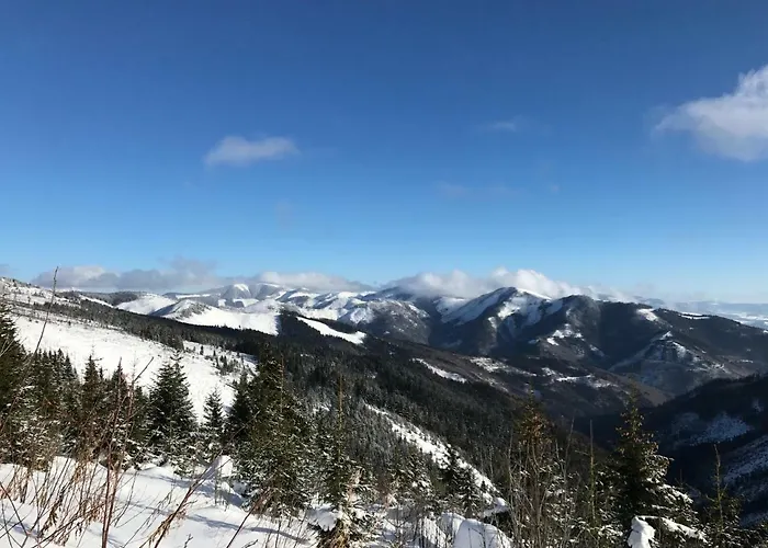 Dom Na Bravacove Летний дом